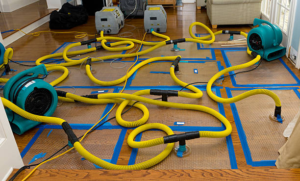 Professional Water Damage Repair technician working in Rochelle, IL